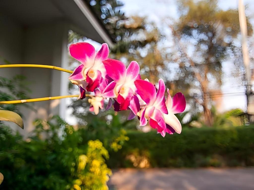 Chayada Garden House And Resort Hotel Накхонратчасима Экстерьер фото